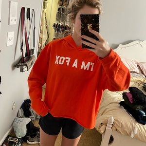 Fox Sweatshirt/Hoodie